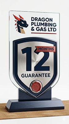12 month guarantee award